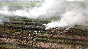 abrir fuego por la noche en el campo de arroz en malasia. video