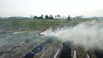 el fuego abierto y la liberación de humo blanco crean un problema de invernadero en malasia. video