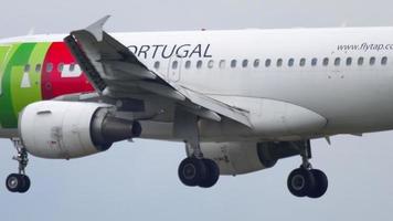 frankfurt am main, tyskland 20 juli 2017 - tryck portugal airbus a319 cs ttj närmar sig innan landning vid 25l. fraport, frankfurt, tyskland video