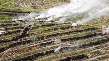 fogo aberto aéreo acontece na fazenda de arroz para limpar o desperdício da colheita. video