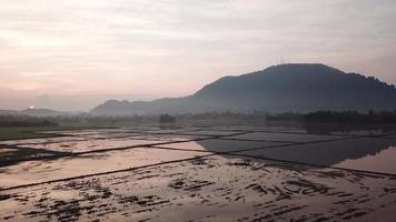 Aerial sliding over the mountain from flooded rice paddy field video