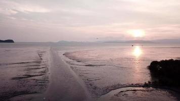 volar sobre el barro seco durante la marea baja. video