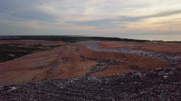 luchtfoto duizenden witte zilverreigers vogelvlieg op de stortplaats video
