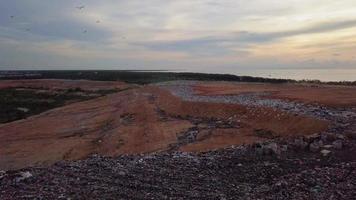 Aerial view thousand of white egrets bird fly at the landfill site video