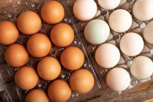 full frame eggs of chicken and duck photo