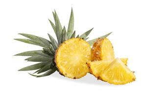 Pineapple or Ananas comosus on white background photo