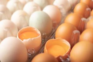 broken eggs of chicken and duck in plastic box photo