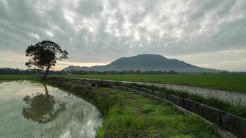 árvore do nascer do sol de timelapse na reflexão, estrada e colina de bukit mertajam video