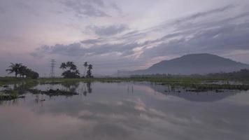 Timelapse reflection with pink colorful sunrise in flood area video