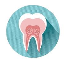 tooth icon with long shadow effect vector