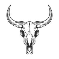 Vintage illustration of buffalo skull vector