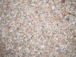 Abstract background of many break shells photo