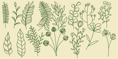 Fifteen Hand drawing set floral botanical fern forest elements vector