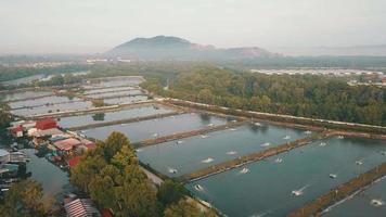 ferme piscicole de bukit tambun avec le stade batu kawan en arrière-plan. video