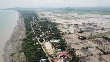 Aerial panning muddy soil near coastal to peatland paddy field video