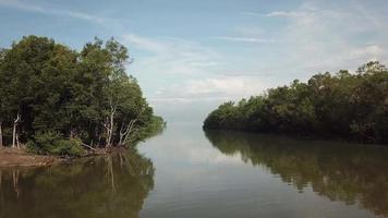 vlieg naar de riviermonding met mangrovebomen eromheen. video