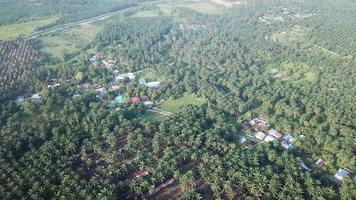 Malays village surrounded with oil palm plantation at Malaysia. video