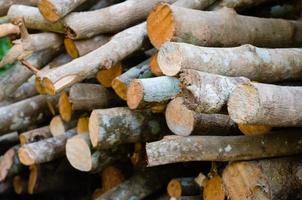 Pile of Wood Sticks for Firewood Used.