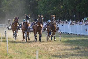 Horse Racecourse August 09.2020 Sault, France photo