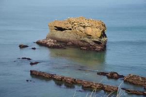 Low tide, Biarritz Biscay photo