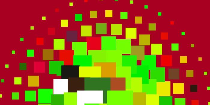 telón de fondo de vector multicolor claro con rectángulos.