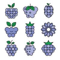 Raspberry icons vector flat
