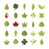 Leaf icon set, flat style vector