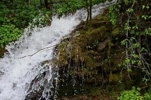 After the rain photo