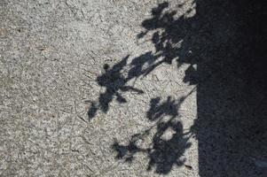 Shadows on the ground photo