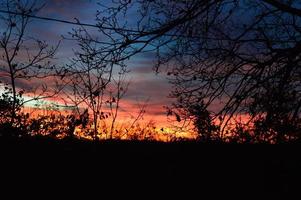 Cloudy sky during the sunset photo