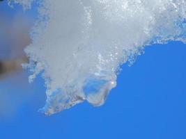 nieve blanca en la rama de un árbol foto