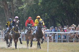 hipódromo agosto 11.2019 sault, francia foto