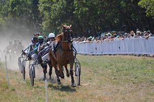 Horse Racecourse August 09.2020 Sault, France photo