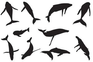 whale Silhouette Vector file for download