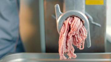 Industrial minced meat in a large meat grinder. Creating minced meat. video