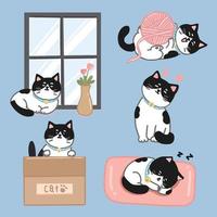 conjunto de vectores de personajes de dibujos animados de gatos