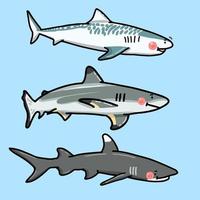 shark cartoon character illustration vector set