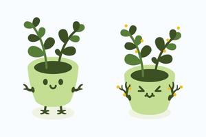 green houseplants in pots and planters, natural home decor vector
