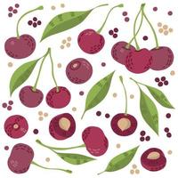 Hand drawn sketch style vector cherry set isolated on white background, eco food illustration