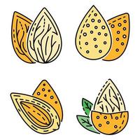 Almond icon set line color vector