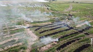 granjero quema hierba en campo abierto causa contaminación del aire de emisión. video