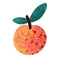 Peach on a white background. Vector illustration