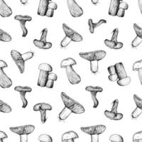 Seamless pattern with assorted mushrooms . Vector illustration