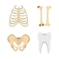 Human bones icon set, flat style vector