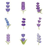 conjunto de iconos de lavanda vector plano aislado