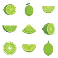 Lime icons set flat vector isolated