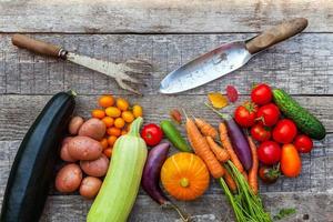 Assortment different fresh organic vegetables and gardening tools on country style wooden background. Healthy food vegan vegetarian eating dieting concept. Local garden produce clean food. photo