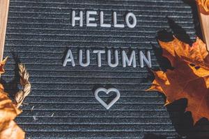 Autumnal Background. Black letter board with text phrase Hello Autumn and dried leaves lying on white knitted sweater. Top view, flat lay. Thanksgiving banner. Hygge mood cold weather concept photo