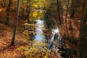 Sazli Lake in Yedigoller National Park, Bolu, Turkey photo