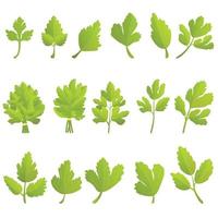 Parsley icons set, cartoon style vector